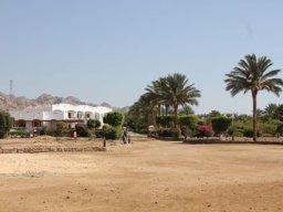Bilder Ägypten-098